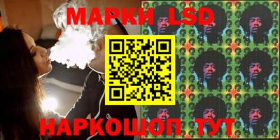гашик Моздок