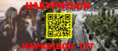 гашик Моздок