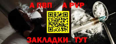 гашик Моздок