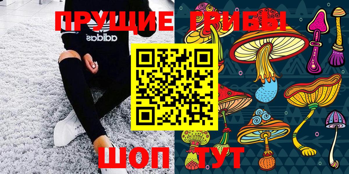 Богородицк  Псилоцибиновые грибы Psilocybe  Вход с VPN 