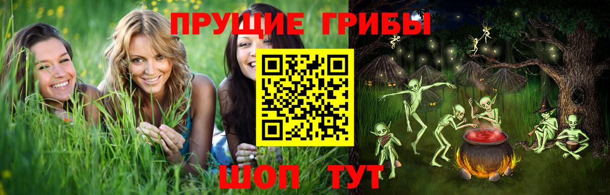 Галлюциногенные грибы ЛСД Богородицк